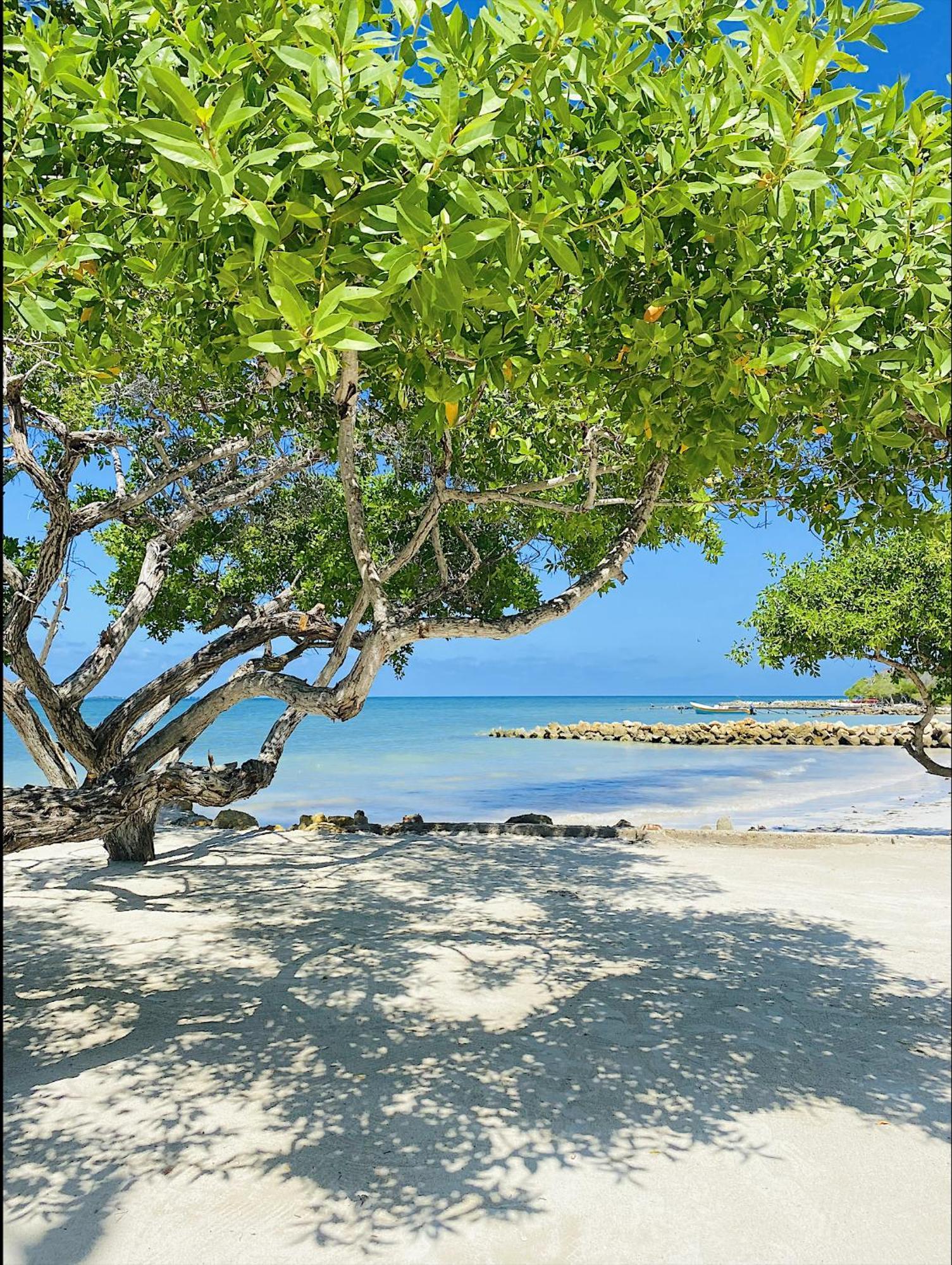 Hotel Carey Beach Isla Barú Esterno foto