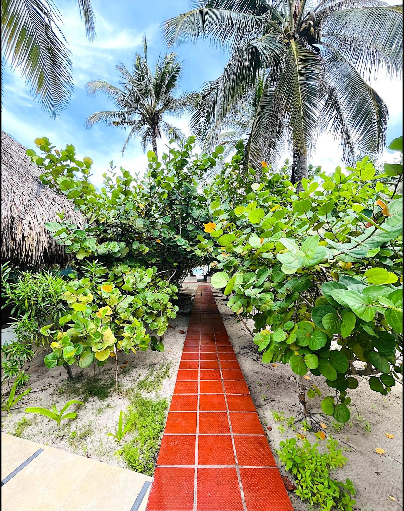 Hotel Carey Beach Isla Barú Esterno foto
